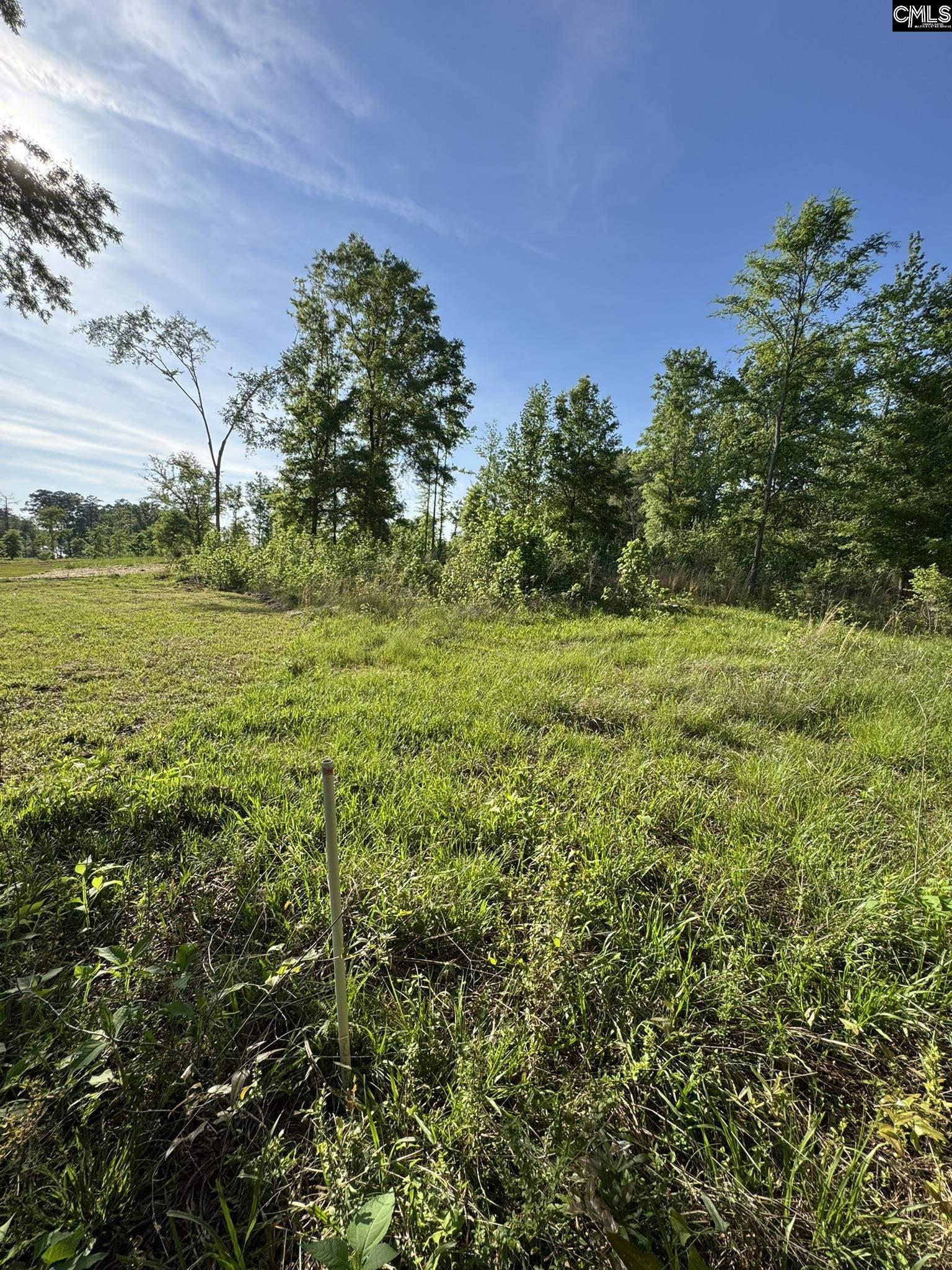 238 Navigator Trail Prosperity, SC 29127 - Photo 10 of 22