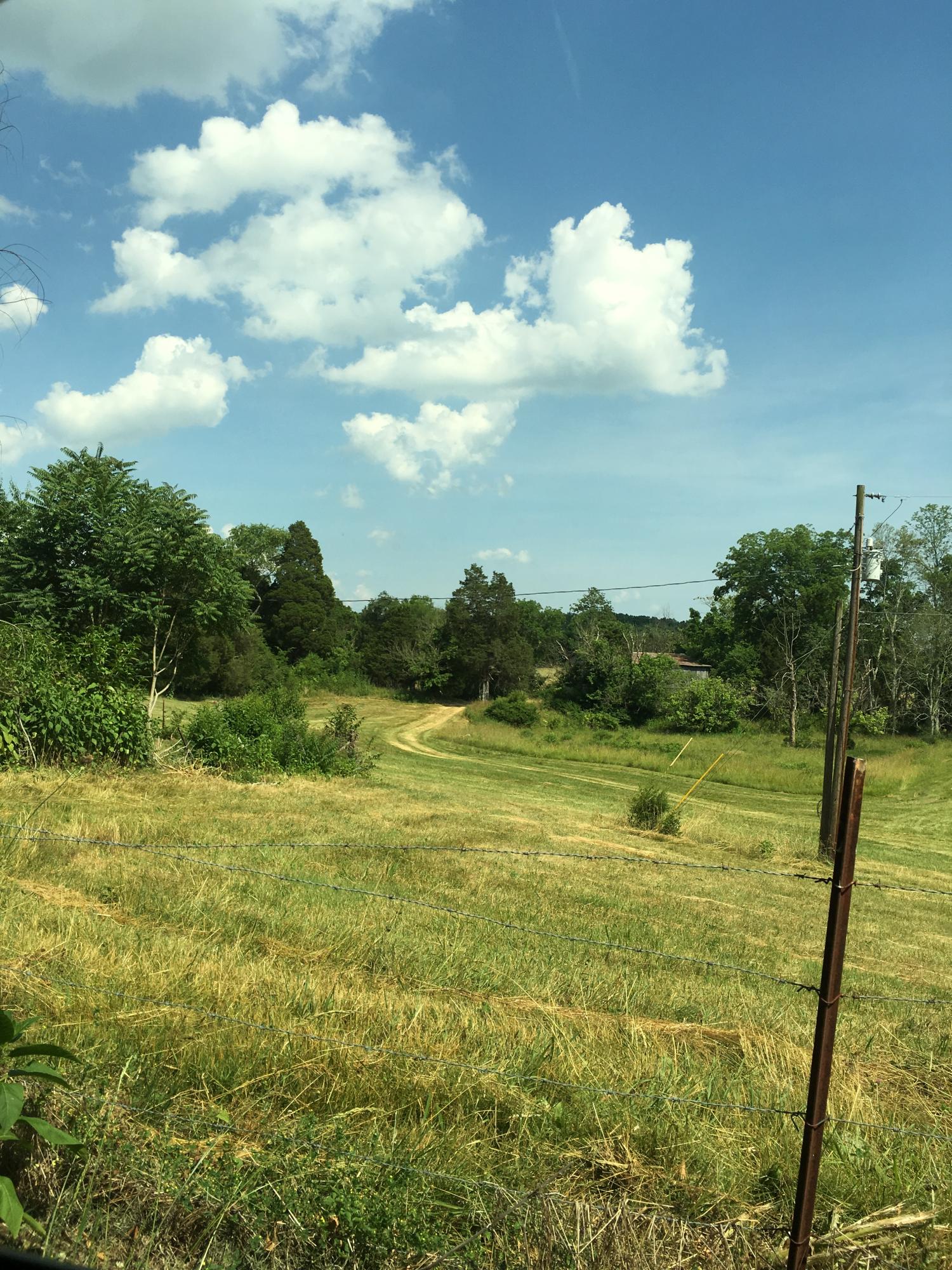 2508 Valley Home Road Talbott, TN 37877 - Photo 1 of 6 IMG_8420