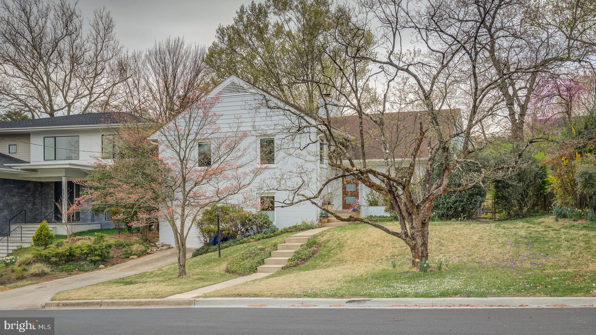 6212 Wedgewood Road Bethesda, MD 20817 - Photo 2 of 38 Flowering trees, wild grasses and evergreens