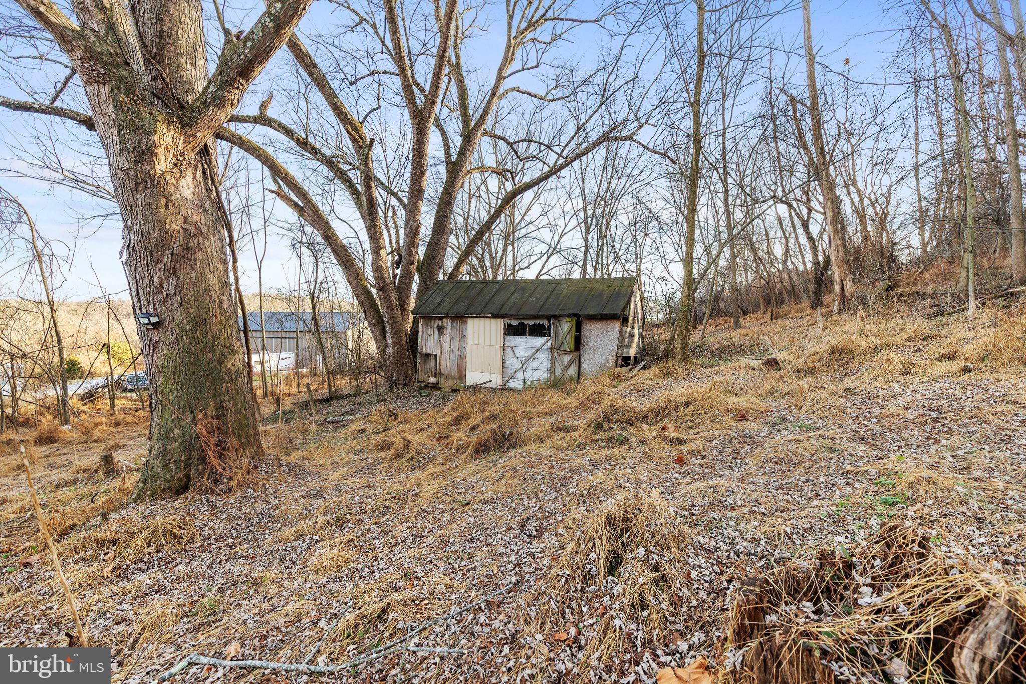 1917 Freeland Road Freeland, MD 21053 - Photo 34 of 47 Secluded shed amidst winter's embrace.