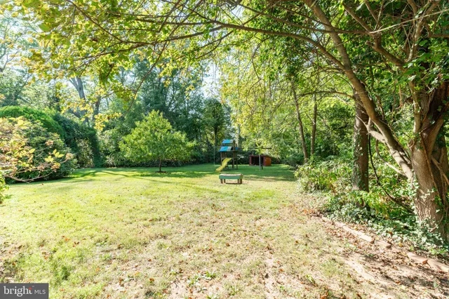 a view of a yard with a trees