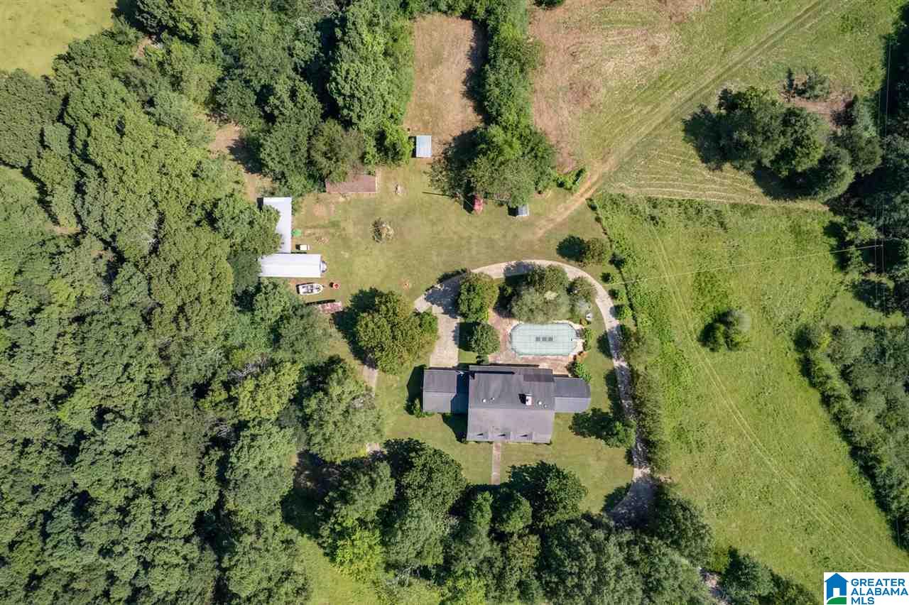 5705 Mays Bend Road Pell City, AL 35128 - Photo 40 of 50