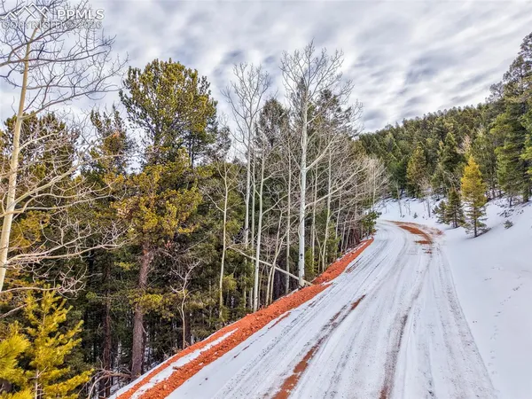 $12,999 | 165 Witherite Drive, Divide, CO 80814