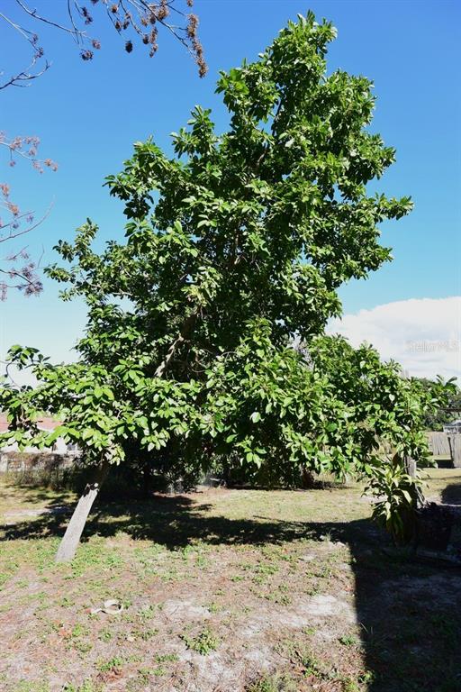 5845 Elm Street New Port Richey, FL 34652 - Photo 36 of 38 a view of a garden