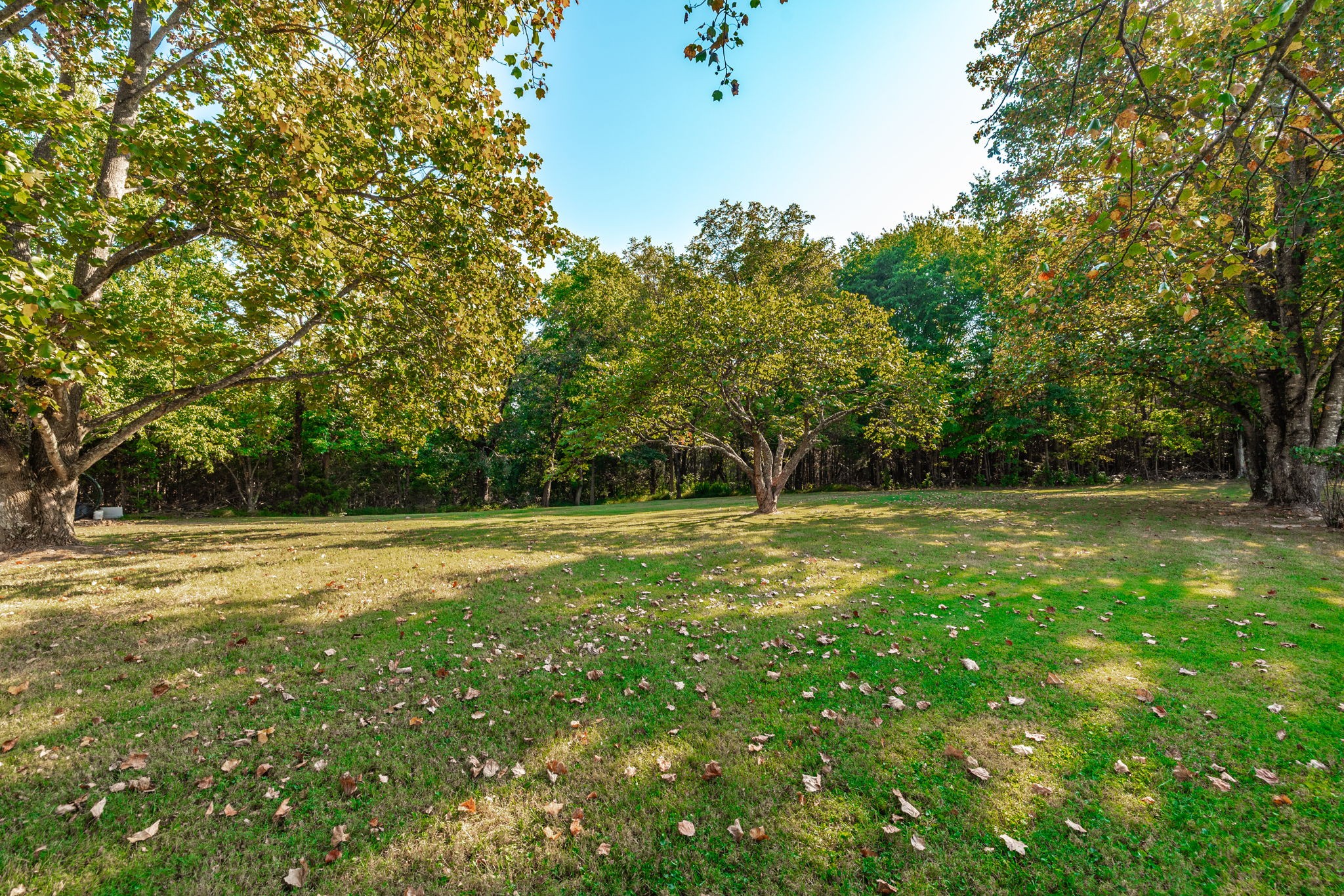 305 Paul Thompson Road Bethpage, TN 37022 - Photo 39 of 59 Gallery Image 39