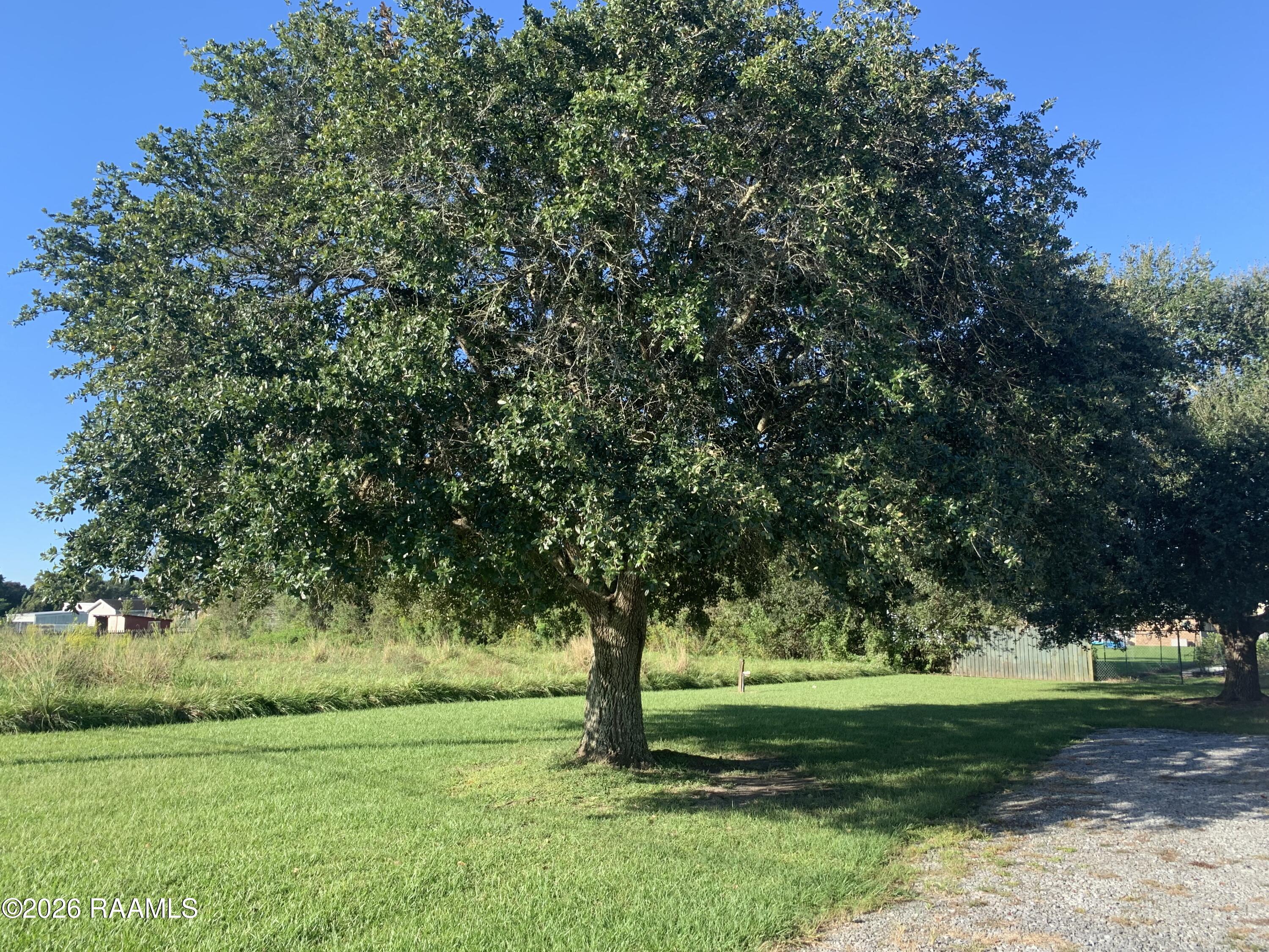 408 Coon Road New Iberia, LA 70563 - Photo 5 of 27 IMG_7833 (1)