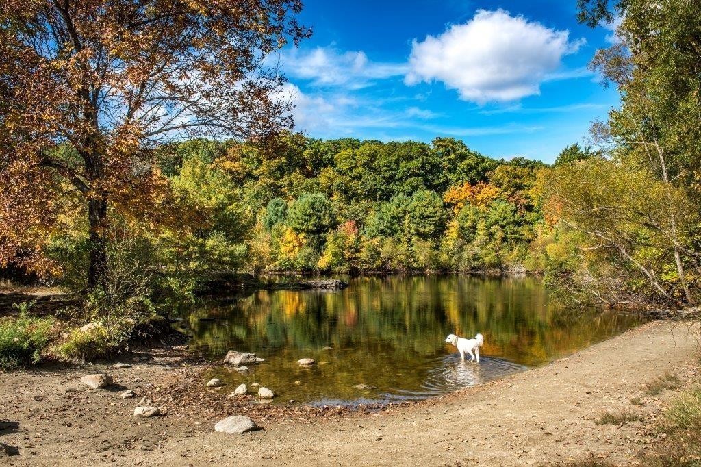 21 Baiting Brook Road, Unit 90 Framingham, MA 01701 - Photo 15 of 15