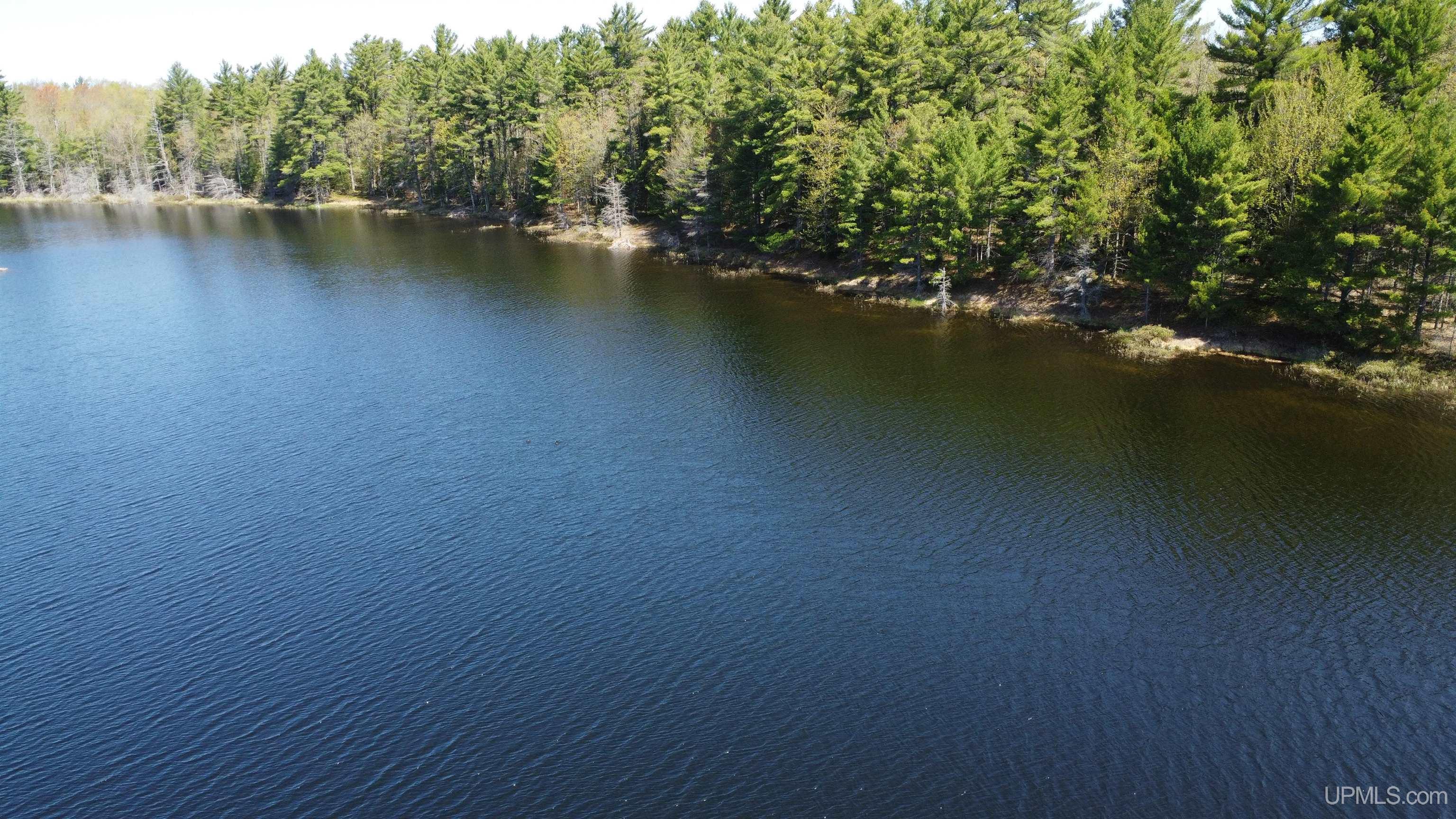 Off Adams Trail Shingleton, MI 49884 - Photo 5 of 46