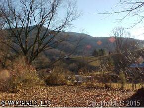 0 Poison Cove Road Clyde, NC 28721 - Photo 1 of 4 a view of a yard