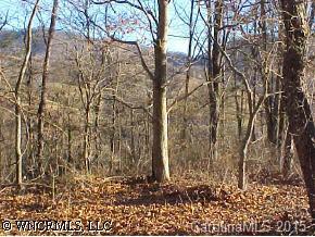 0 Poison Cove Road Clyde, NC 28721 - Photo 2 of 4