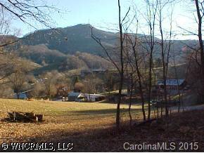 0 Poison Cove Road Clyde, NC 28721 - Photo 3 of 4 a view of park along with trees