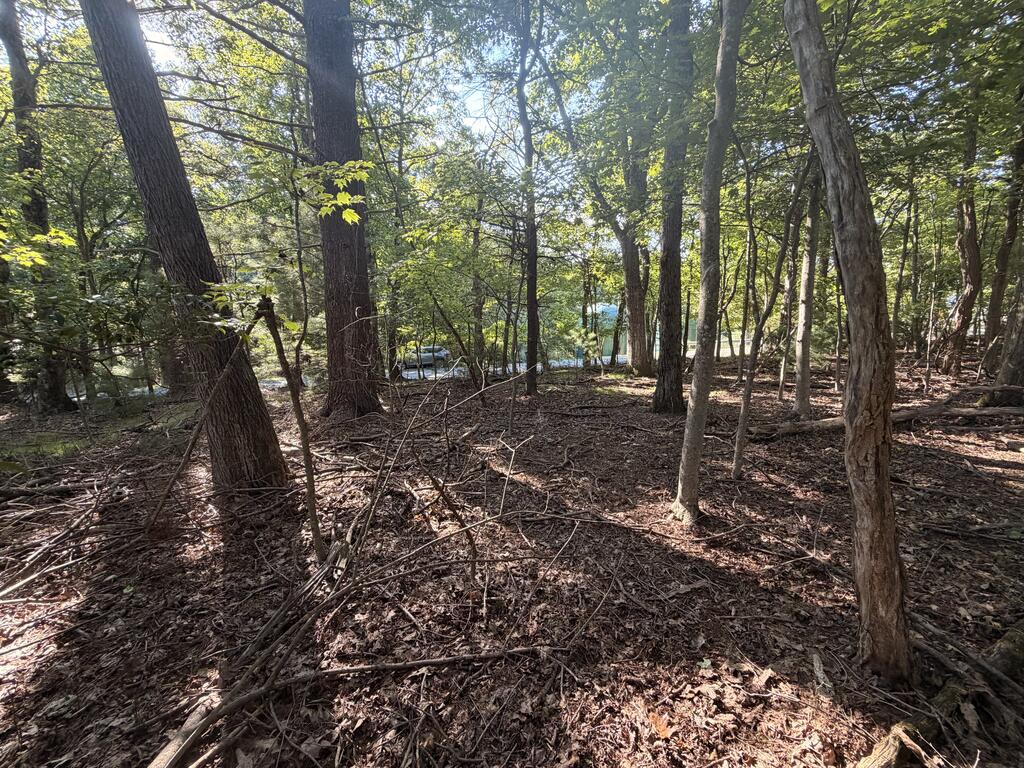 Tbd Cascade Trail, Unit 13 Fancy Gap, VA 24328 - Photo 1 of 19 Gallery Image 1