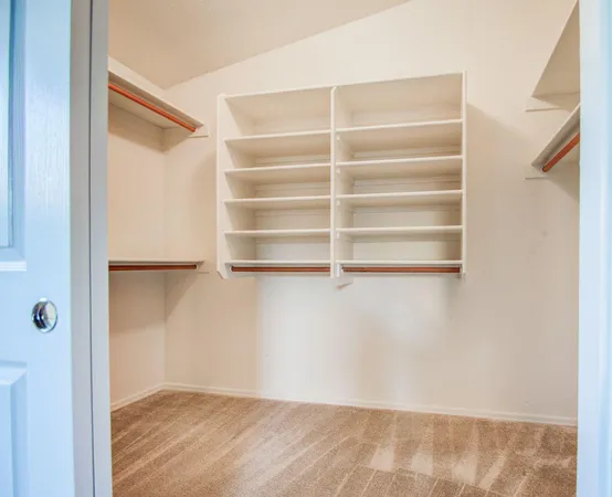 a view of walk in closet with empty racks