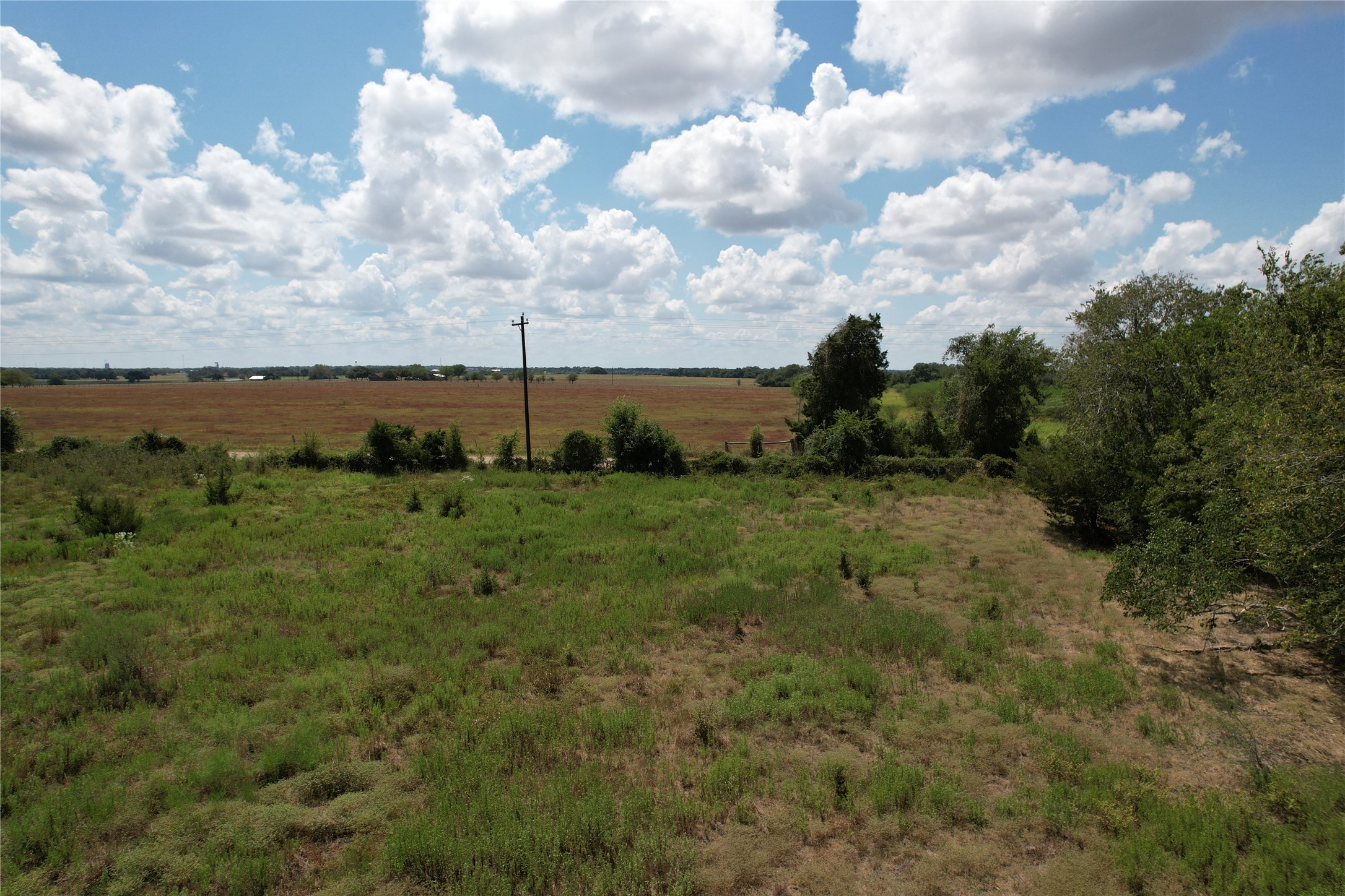 Tbd Peters Road Weimar, TX 78962 - Photo 9 of 13 Front section looking west.