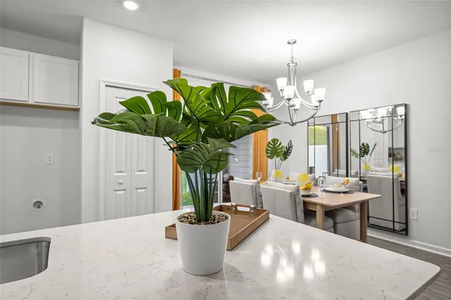 a dining room with furniture a potted plant and a chandelier