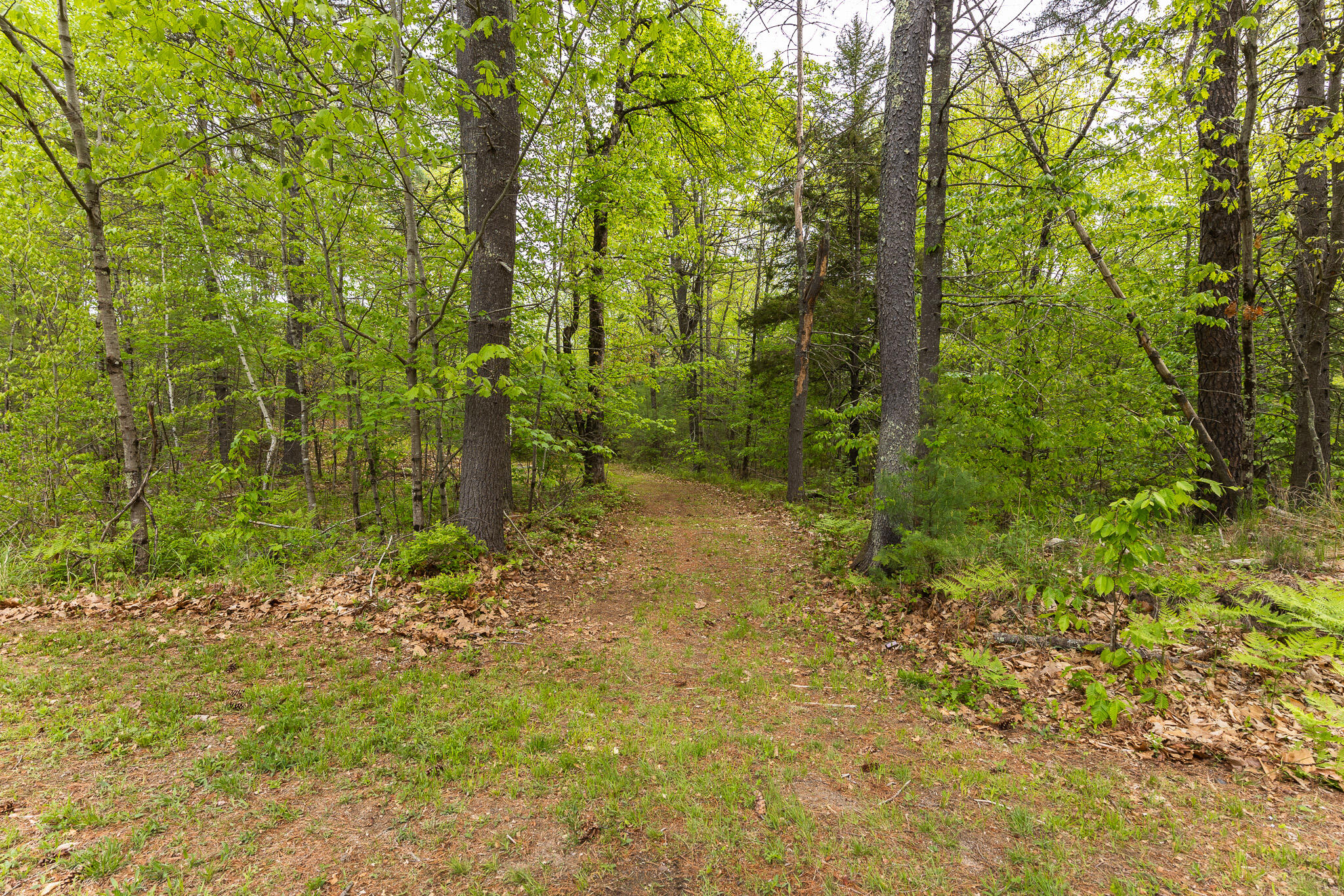76 Hubbard Road Berwick, ME 03901 - Photo 17 of 26 IMG_7523