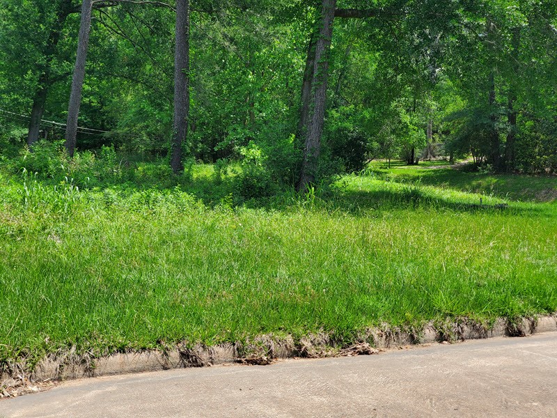 27218 Afton Way Huffman, TX 77336 - Photo 2 of 10