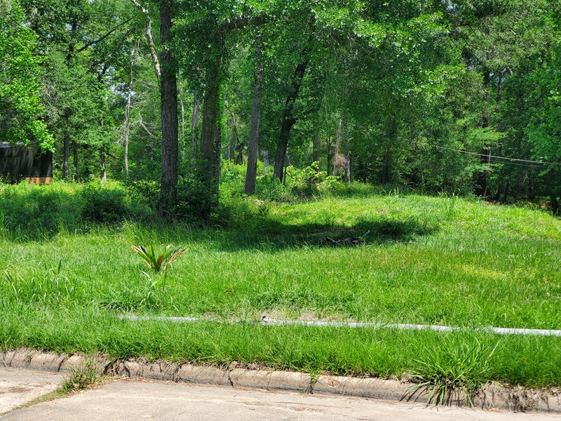 27218 Afton Way Huffman, TX 77336 - Photo 3 of 10