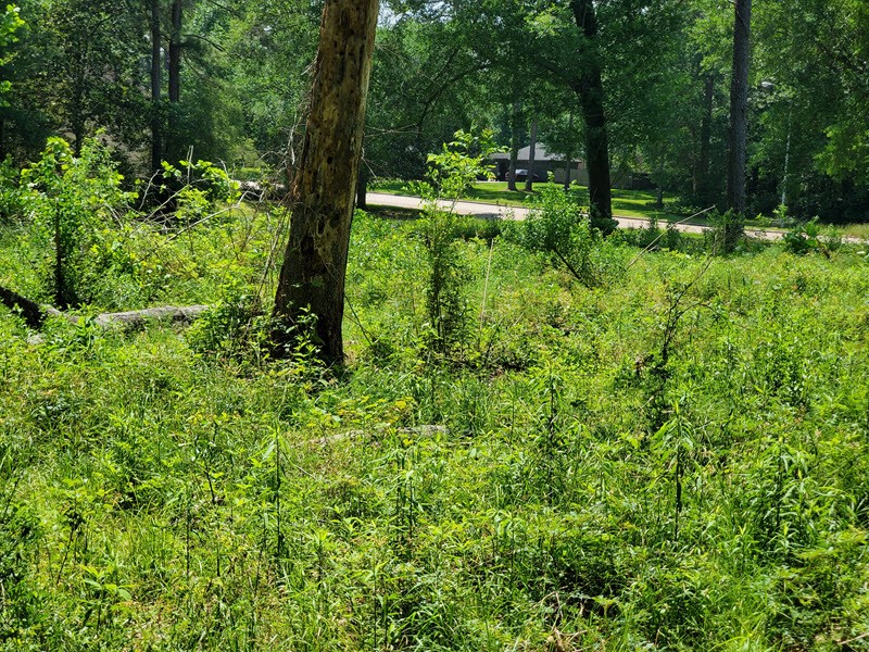 27218 Afton Way Huffman, TX 77336 - Photo 6 of 10