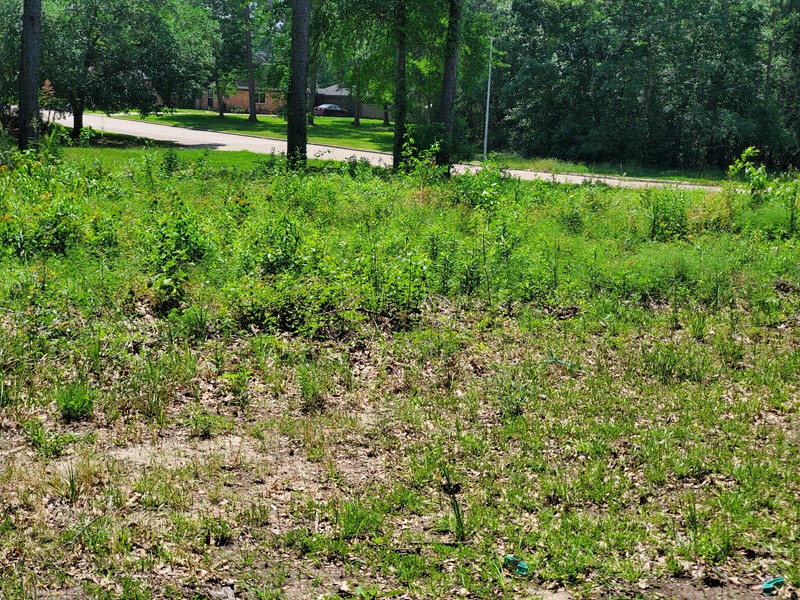 27218 Afton Way Huffman, TX 77336 - Photo 7 of 10