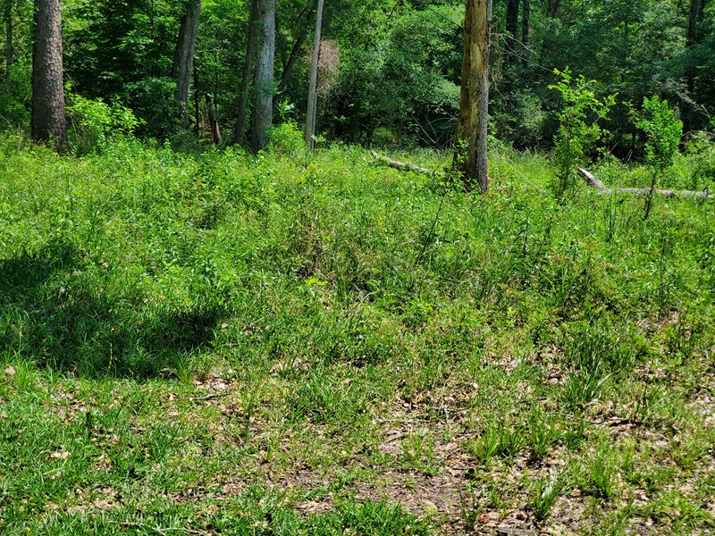 27218 Afton Way Huffman, TX 77336 - Photo 9 of 10