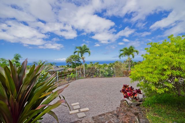 a view of a flower in a garden