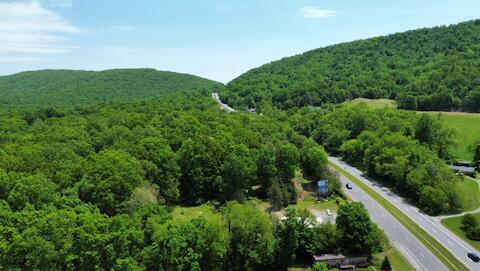 182 Rose Road Newport, VA 24128 - Photo 68 of 69 a view of a lush green forest with lots of trees