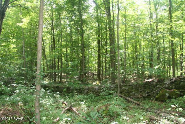 Creek Road Lakewood, PA 18439 - Photo 1 of 1