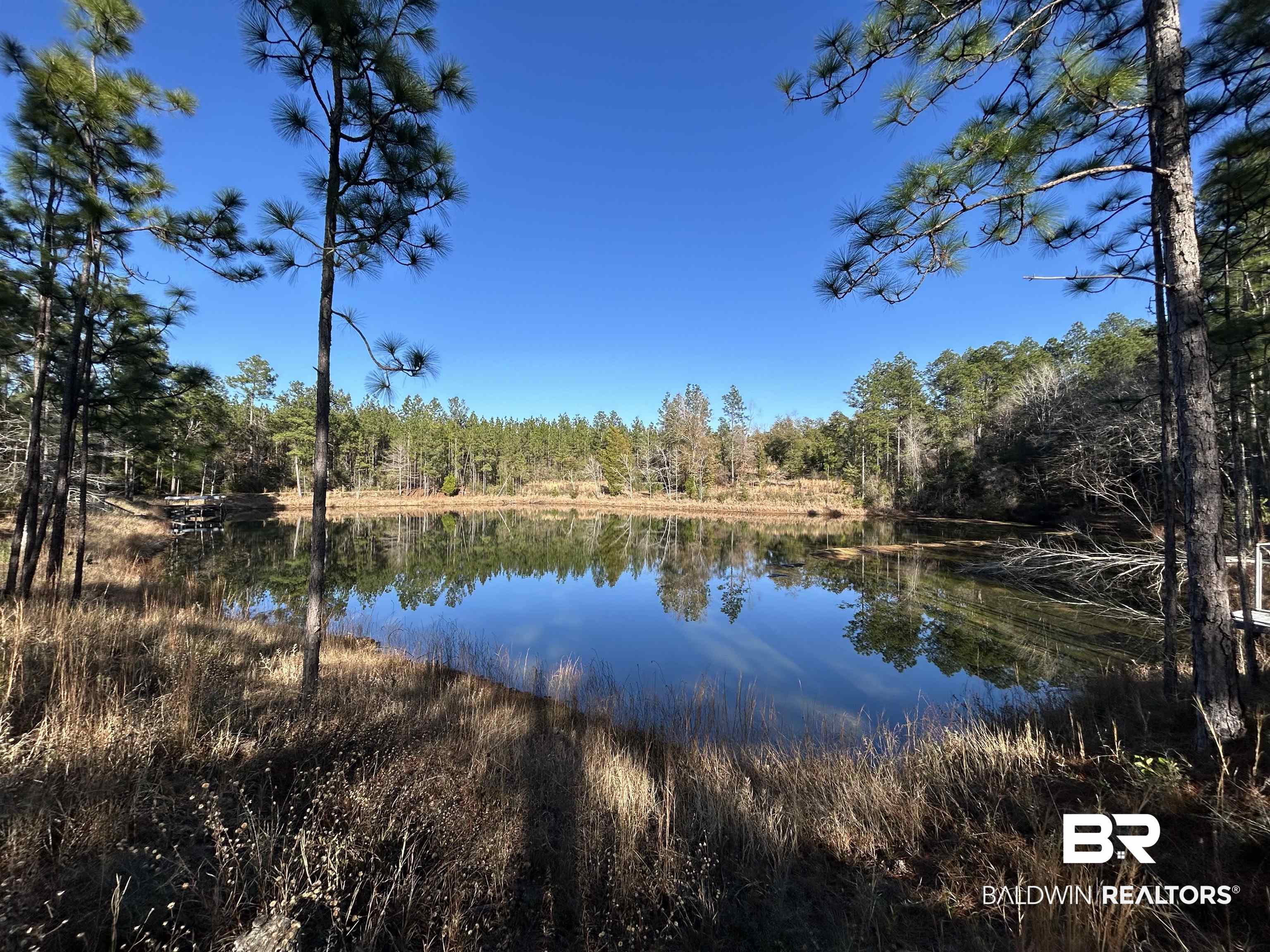 9550 A Sand Ridge Road Citronelle, AL 36522 - Photo 15 of 16 Property view of water