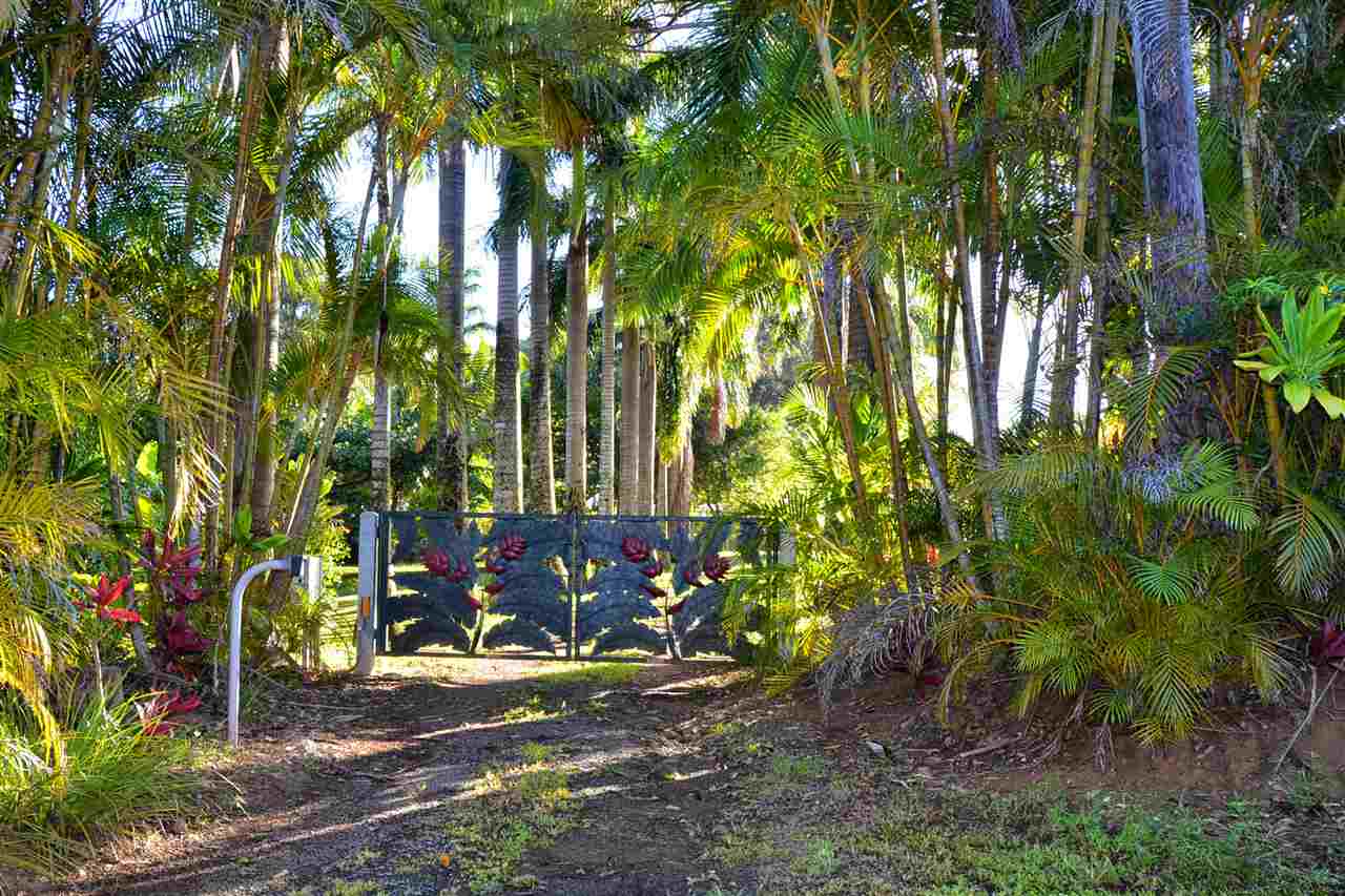 261 Awalau Road Haiku, HI 96708 - Photo 24 of 29 a wooden fence with some trees