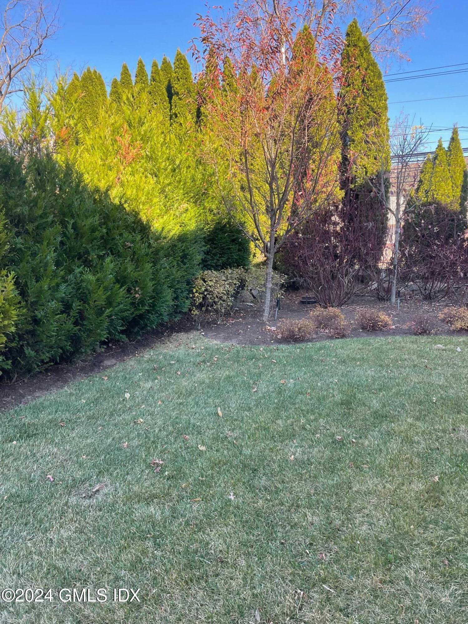 8 Sound Beach Ave Extension, Unit 1 Riverside, CT 06878 - Photo 22 of 31 a view of a yard with a tree