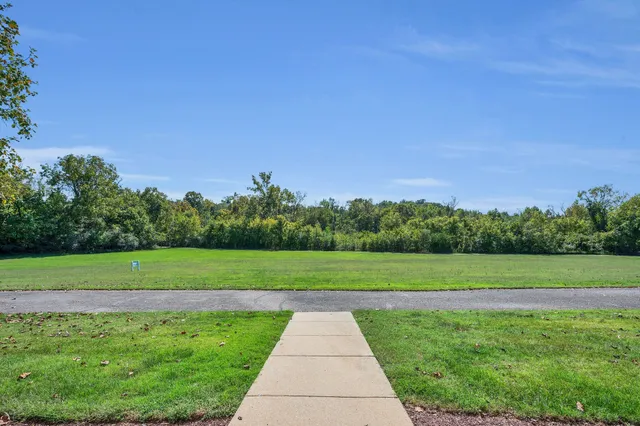 a view of a grassy field with trees