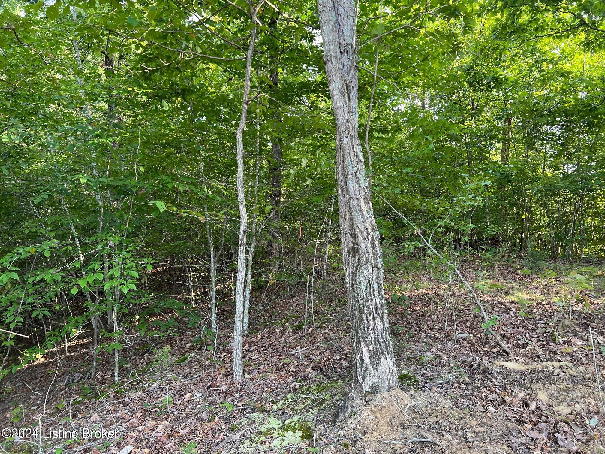 6 Sulphur Lick Road New Hope, KY 40052 - Photo 8 of 15 tract 6 2