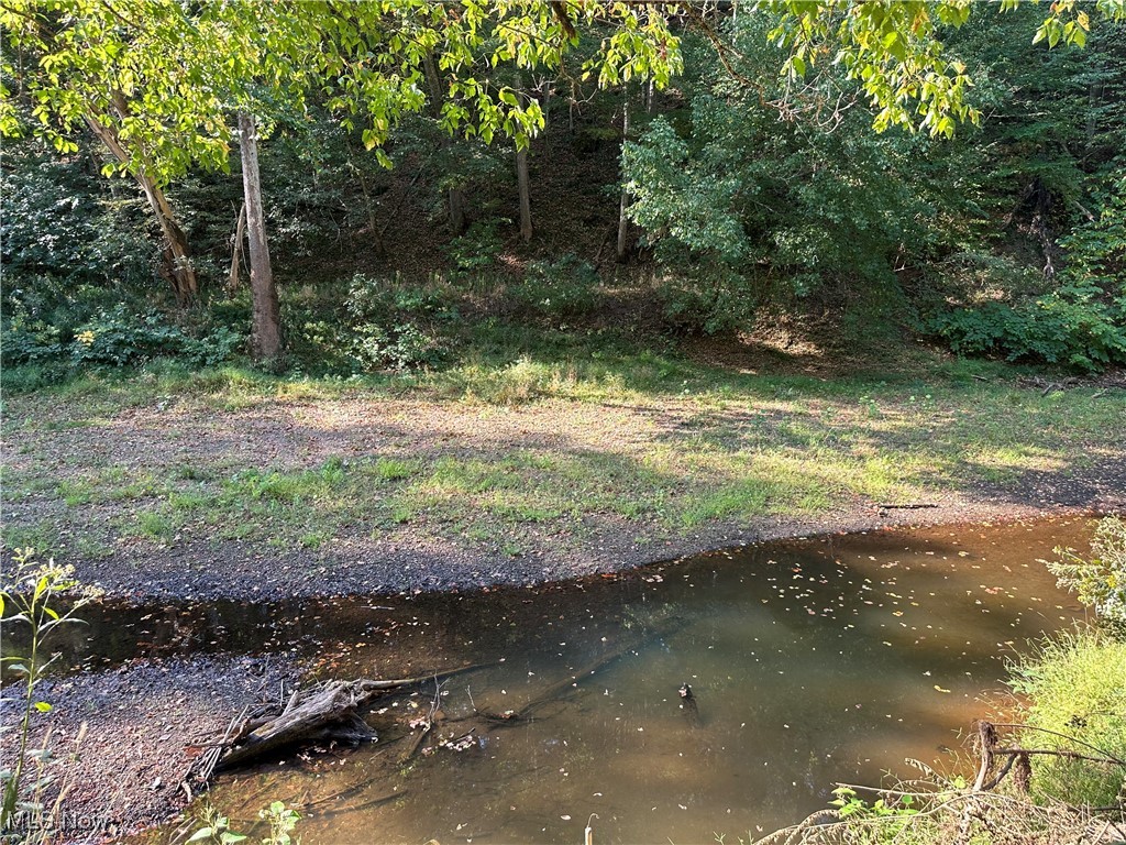 1 River Road Walton, WV 25286 - Photo 9 of 22
