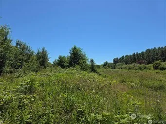 a view of a lush green space with sea