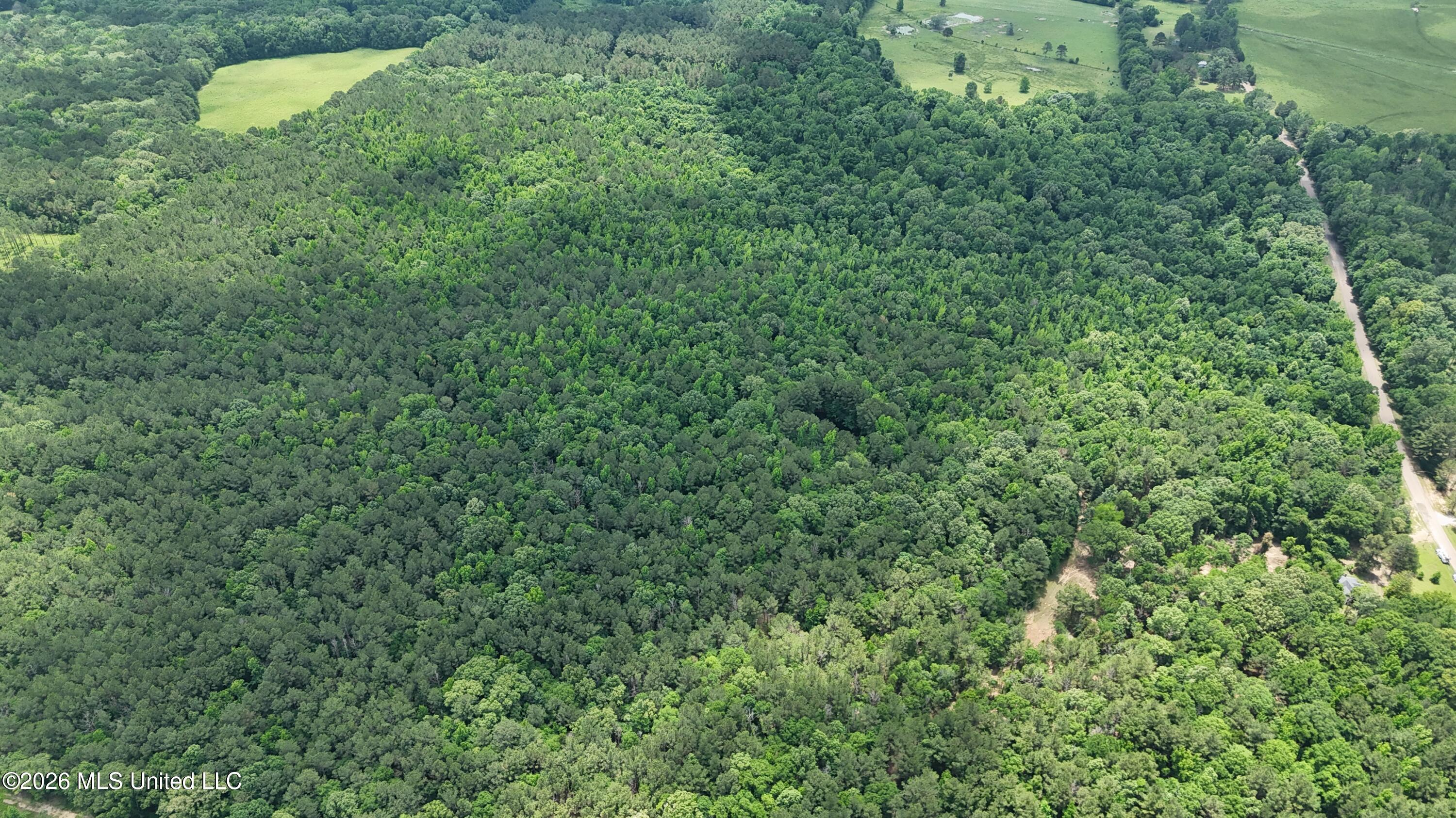 164 Potluck Road Canton, MS 39046 - Photo 1 of 25 dji_fly_20260519_124306_0804_17812852461