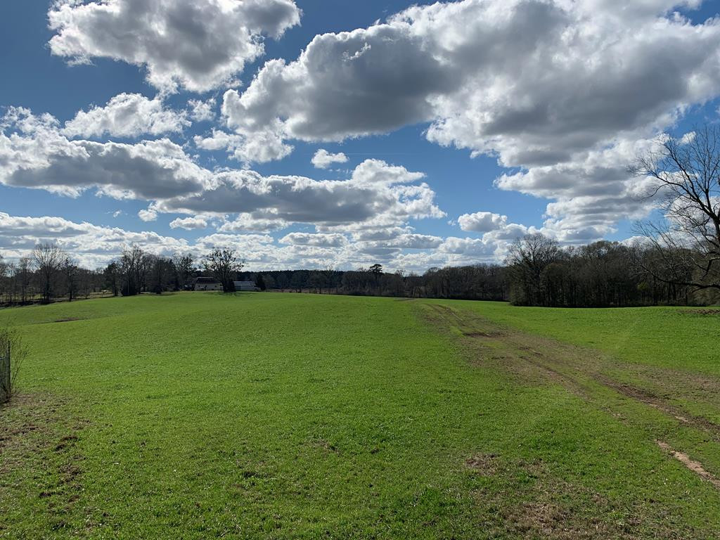 3027 Pepper House Road Centreville, MS 39631 - Photo 1 of 15 Main View