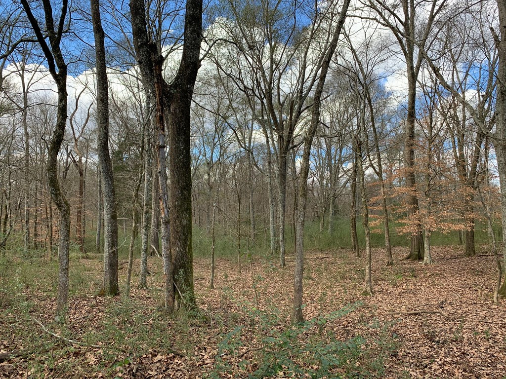 3027 Pepper House Road Centreville, MS 39631 - Photo 12 of 15 Photo 12