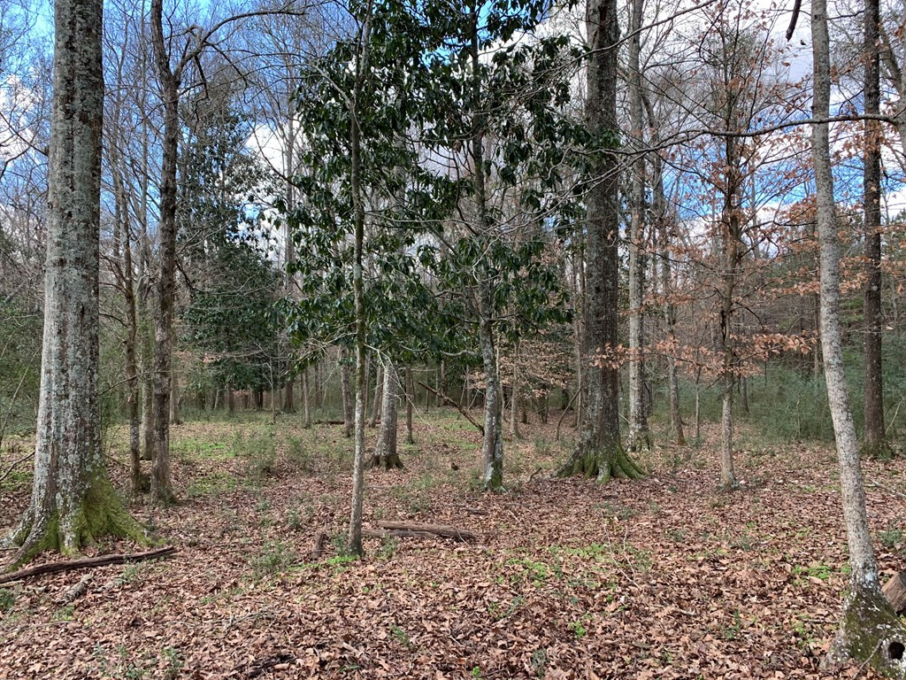 3027 Pepper House Road Centreville, MS 39631 - Photo 15 of 15 Photo 15