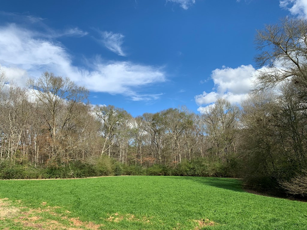 3027 Pepper House Road Centreville, MS 39631 - Photo 8 of 15 Photo 8
