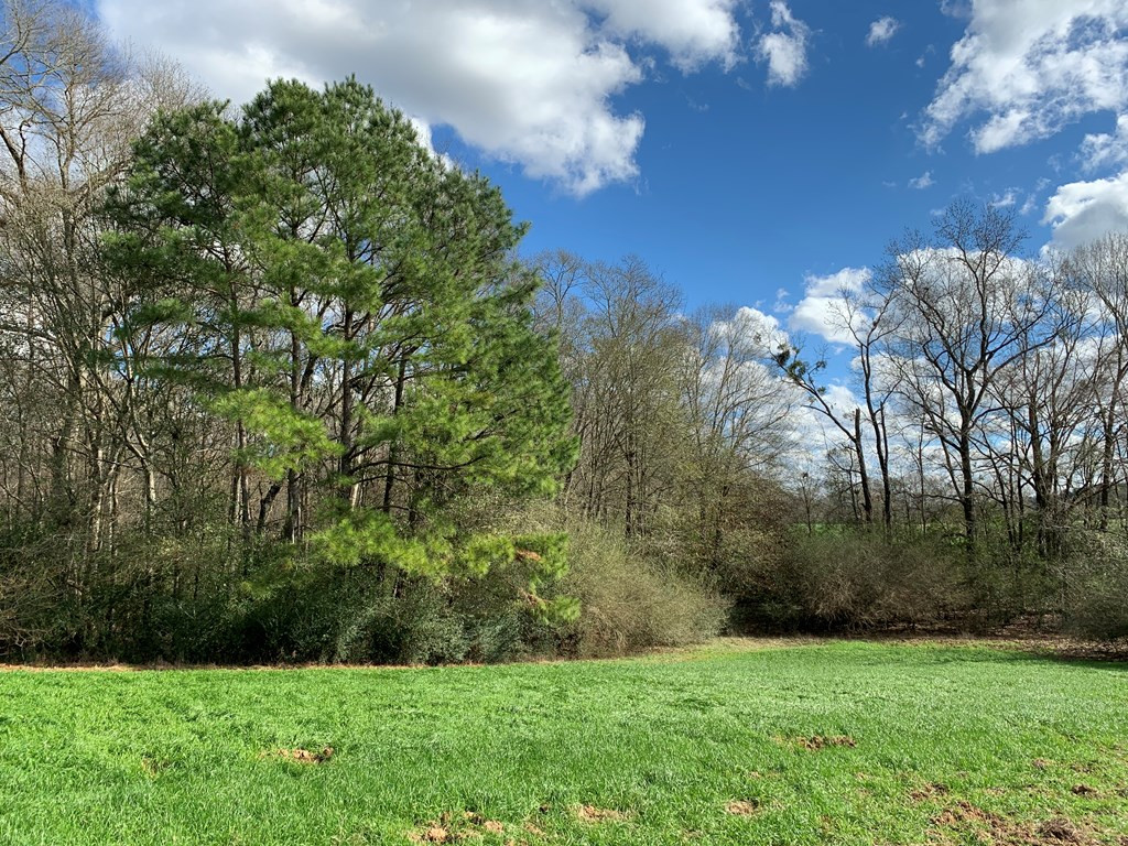 3027 Pepper House Road Centreville, MS 39631 - Photo 9 of 15 Photo 9