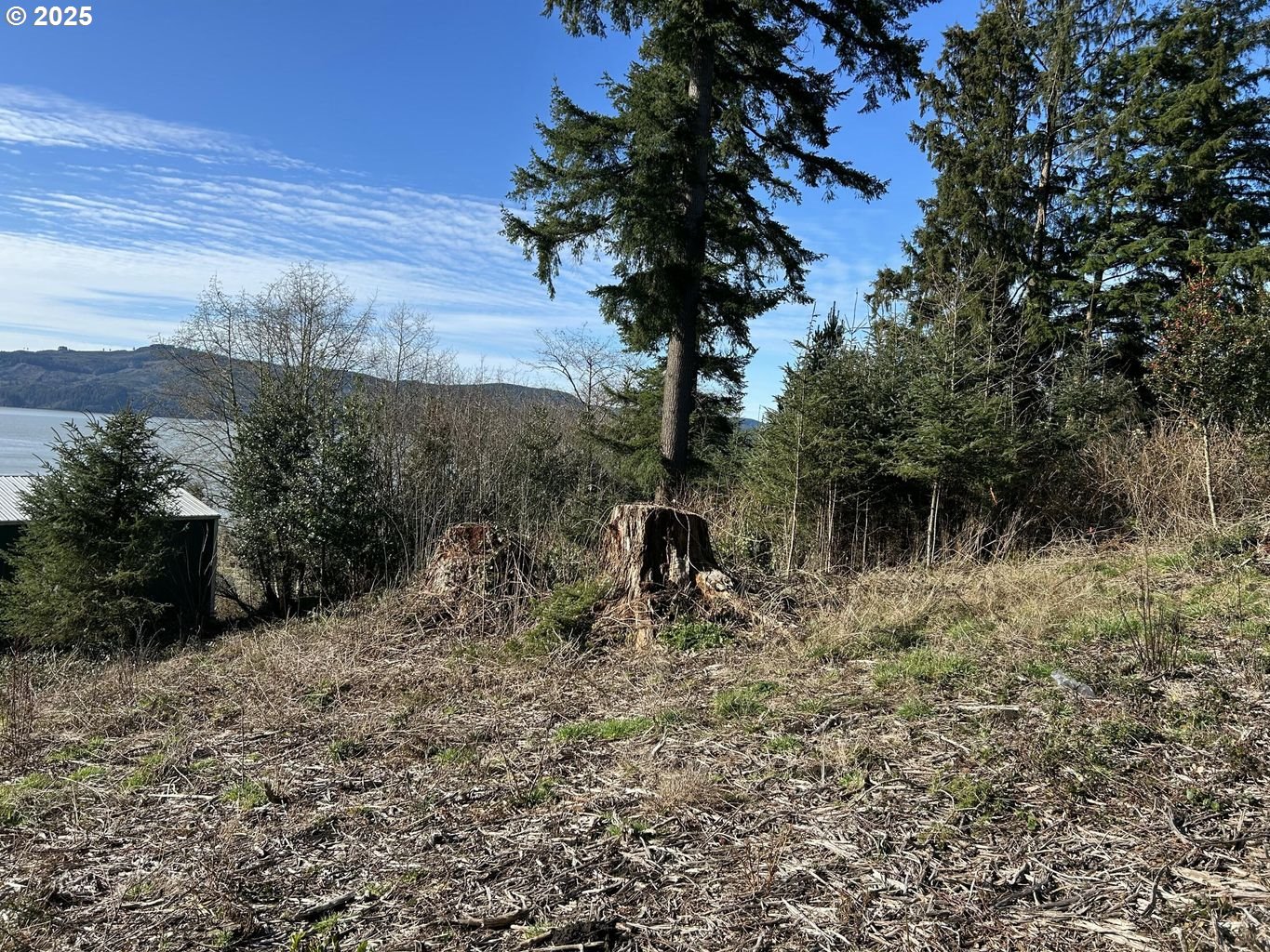 8th Street Bay City, OR 97107 - Photo 2 of 12