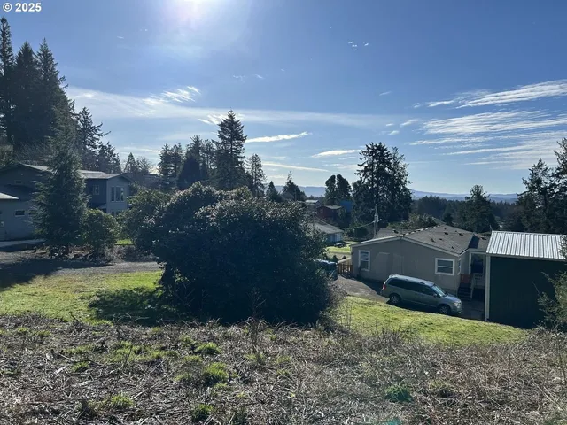 a view of a yard with plants and trees