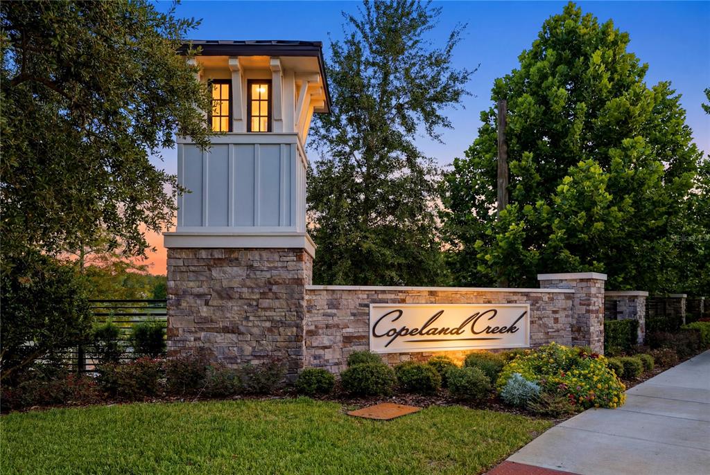 7530 Ashbrooke Pine Loop Odessa, FL 33556 - Photo 40 of 44