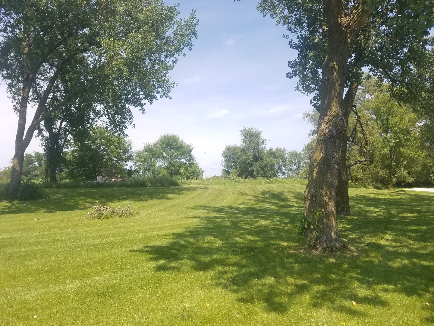 25814 Mary Road Garden Prairie, IL 61038 - Photo 12 of 19 a view of a field with trees in the background