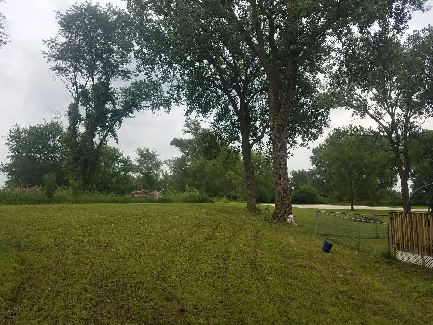 25814 Mary Road Garden Prairie, IL 61038 - Photo 15 of 19 a view of outdoor space with deck and yard
