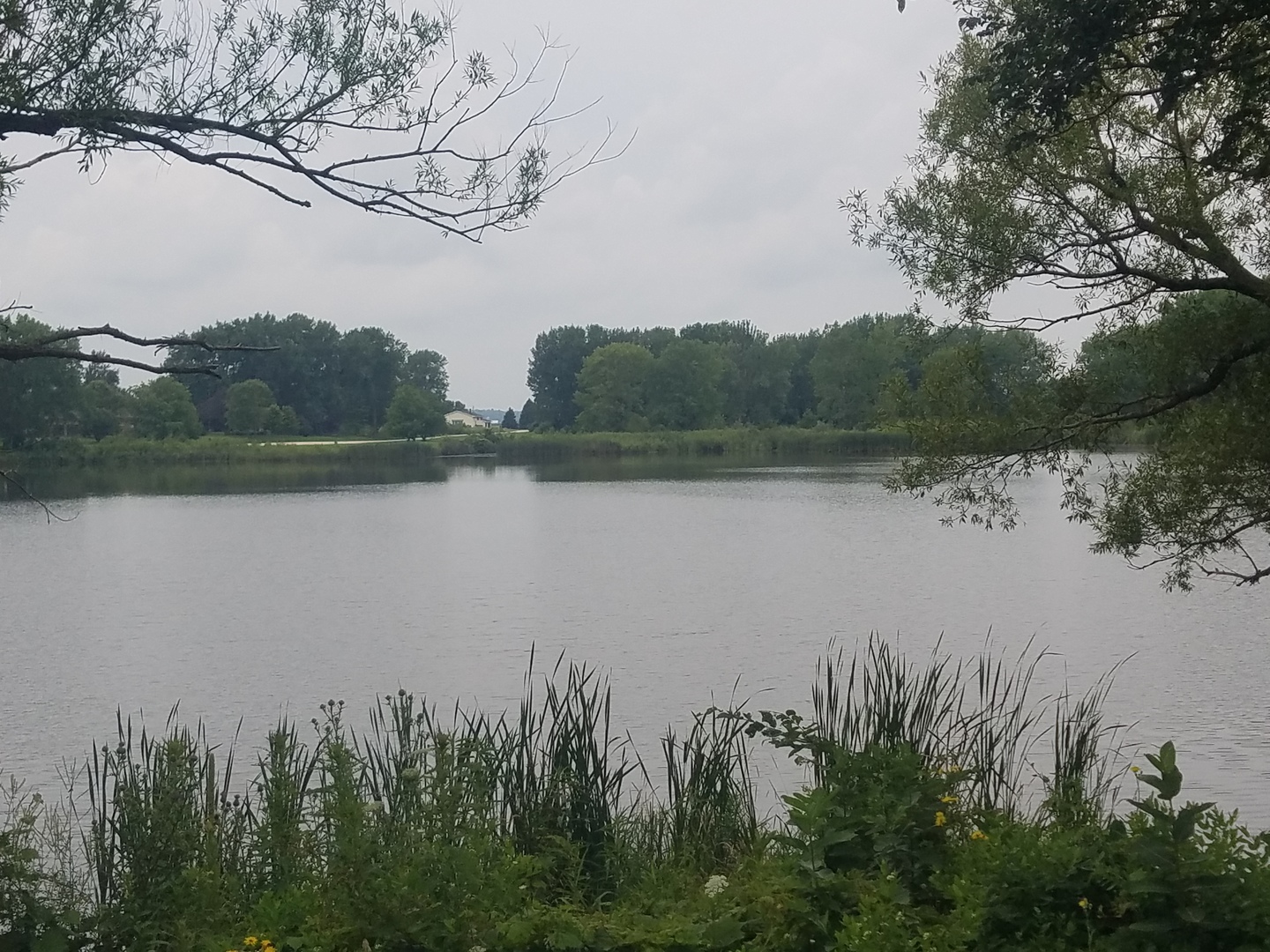 25814 Mary Road Garden Prairie, IL 61038 - Photo 17 of 19 a view of lake