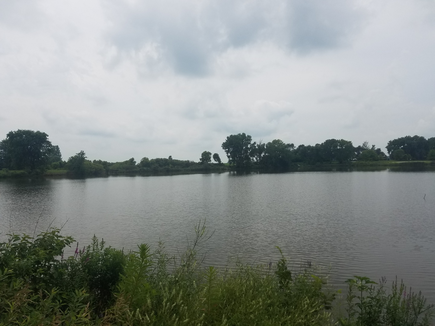 25814 Mary Road Garden Prairie, IL 61038 - Photo 18 of 19 a view of lake