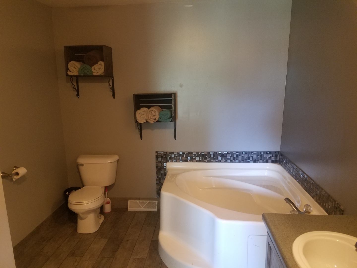 25814 Mary Road Garden Prairie, IL 61038 - Photo 9 of 19 a bathroom with a granite countertop toilet and a bathtub