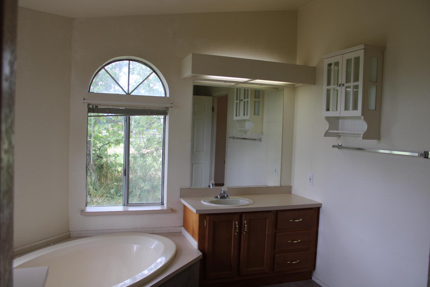 12245 Hobday Road Wilton, CA 95693 - Photo 9 of 20 Primary bath, showing 1 sink